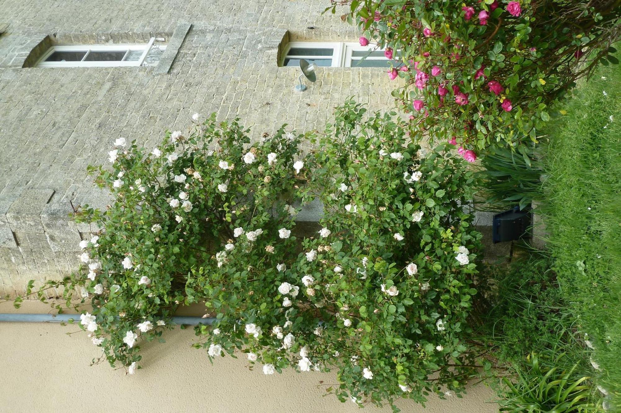 B&B L'Atelier du Presbytère Saint-Maugan Esterno foto